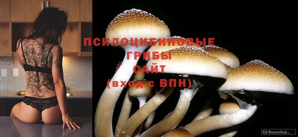 спиды Баксан