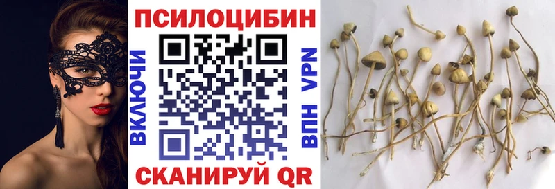 Псилоцибиновые грибы мухоморы  маркетплейс клад  Нижний Ломов 